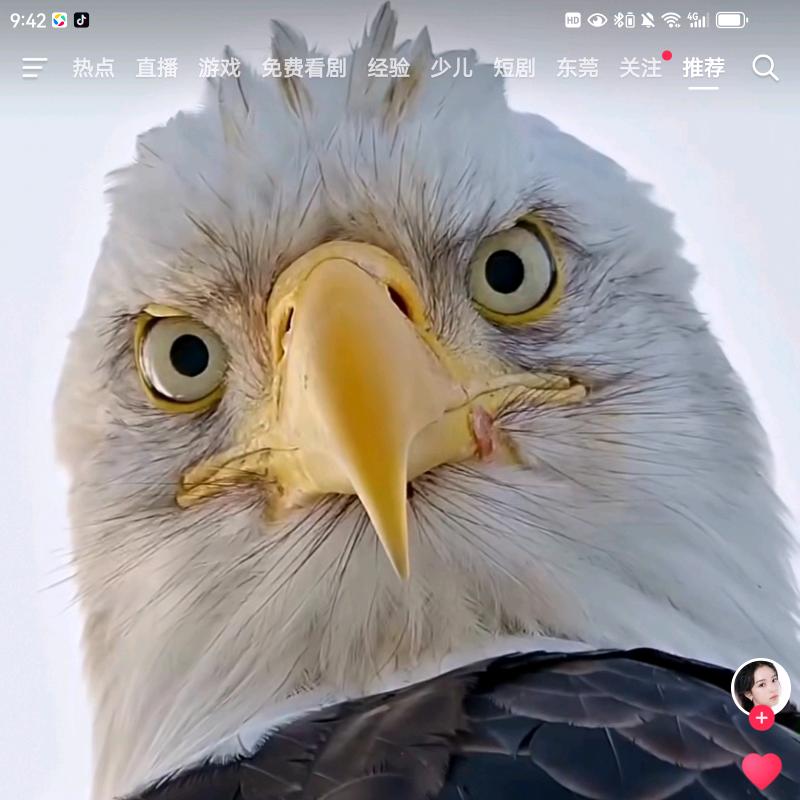 為什麼