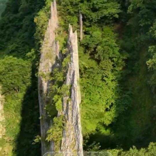 好风景