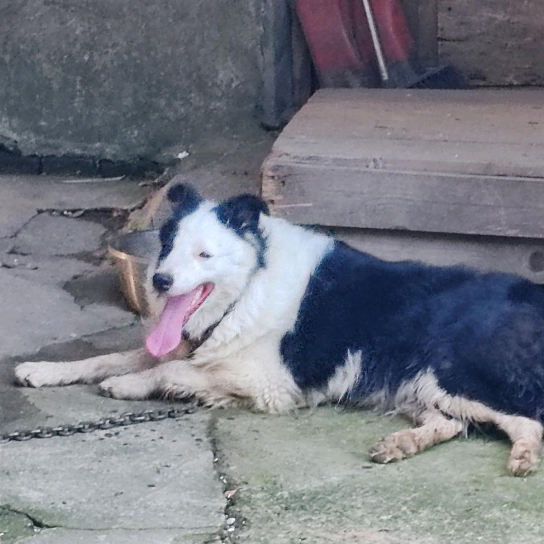 @安徽人在江苏港口开卡车💪