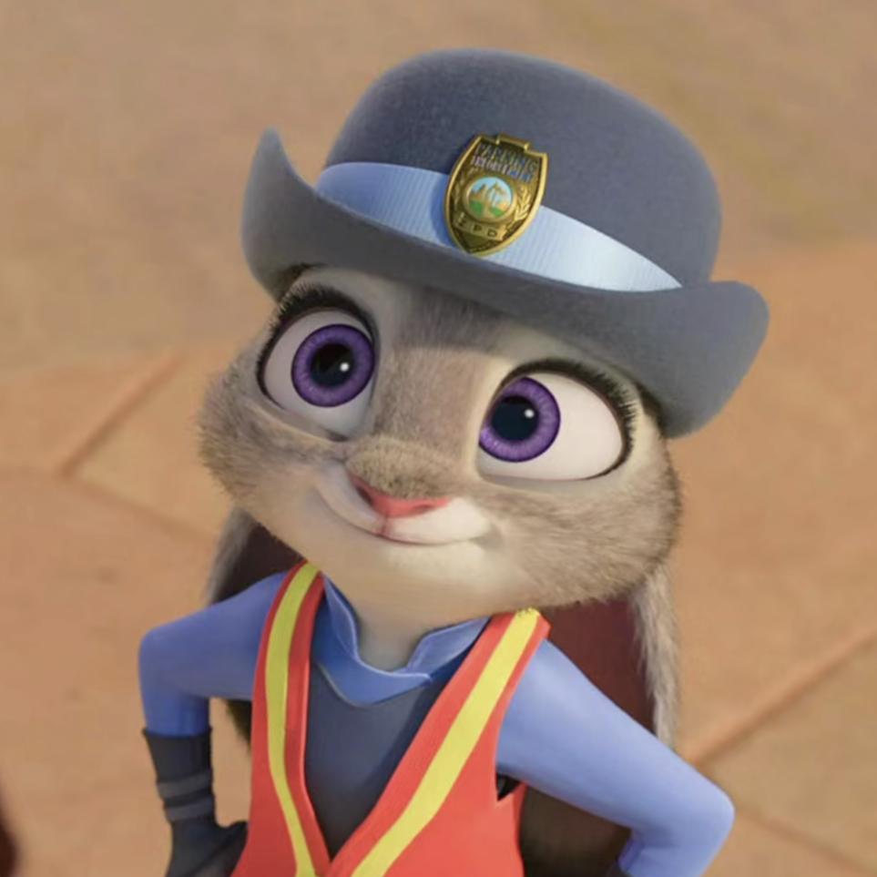 🐰兔子警官
