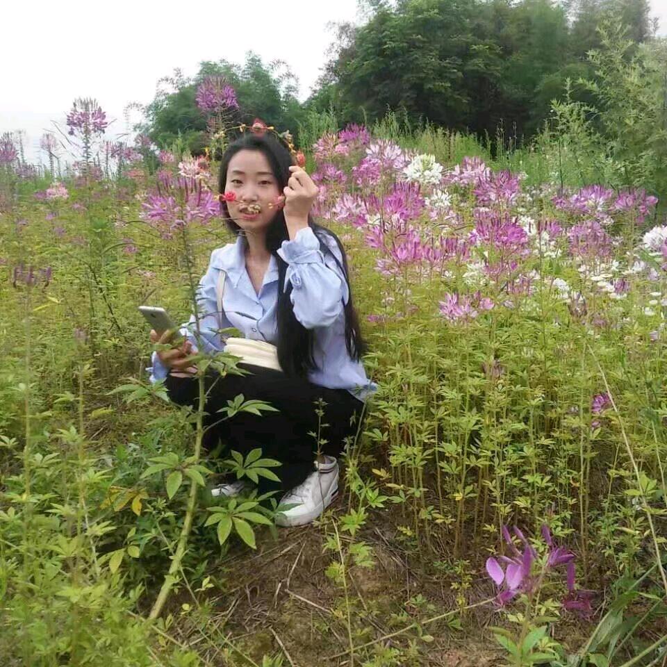 书❣️书