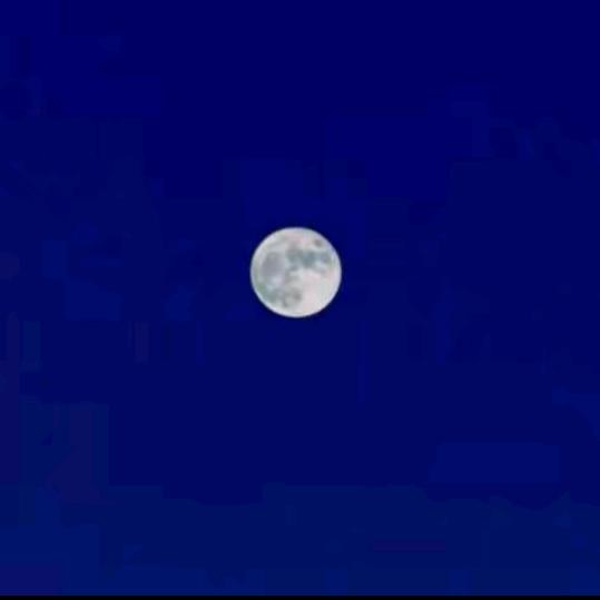 蒋春彦
