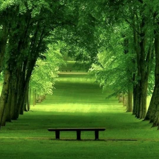 冰冰乐雪糕批发(