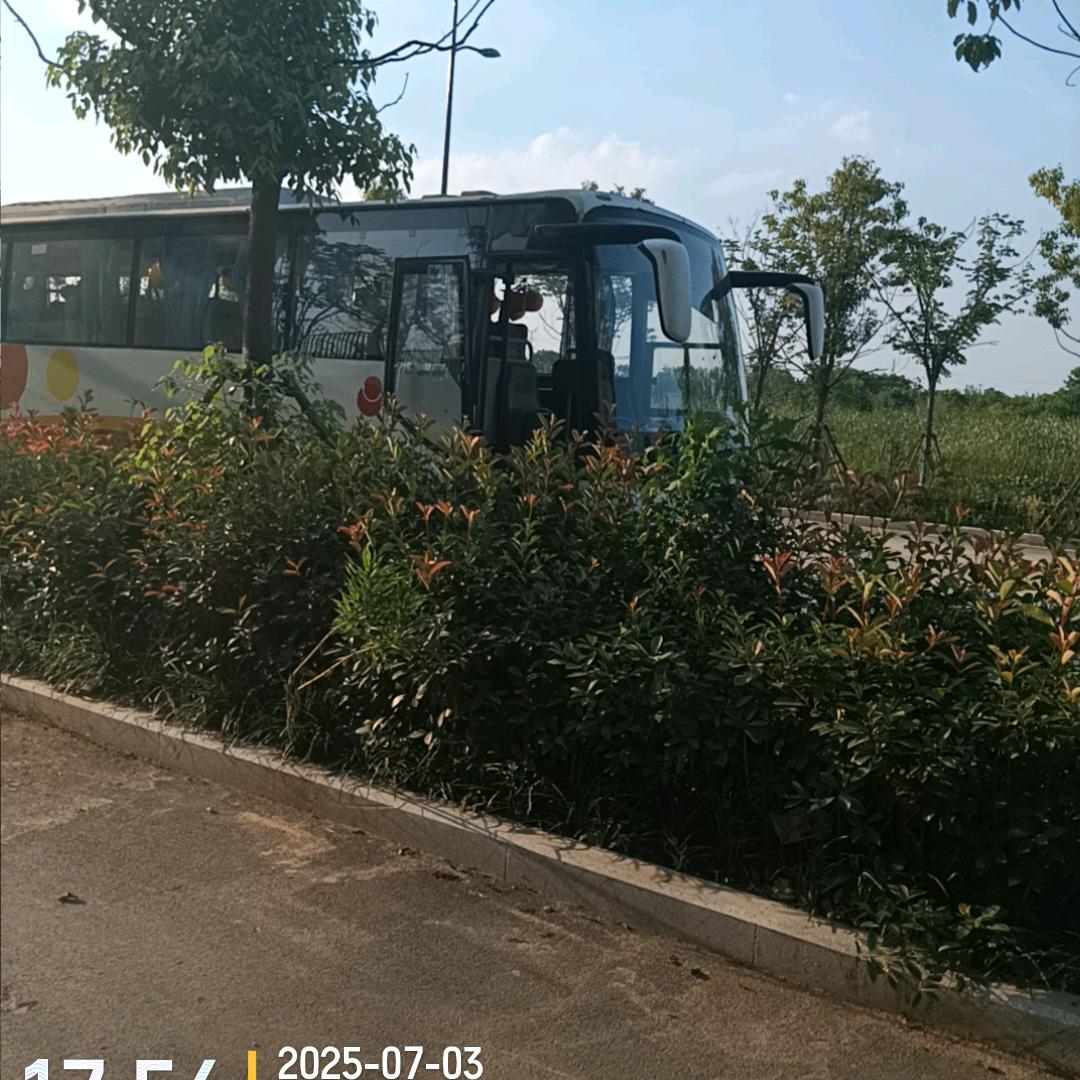 岁月静好