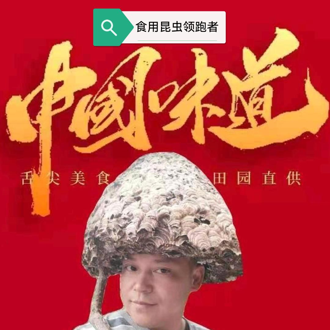 二表哥  （食用昆虫）