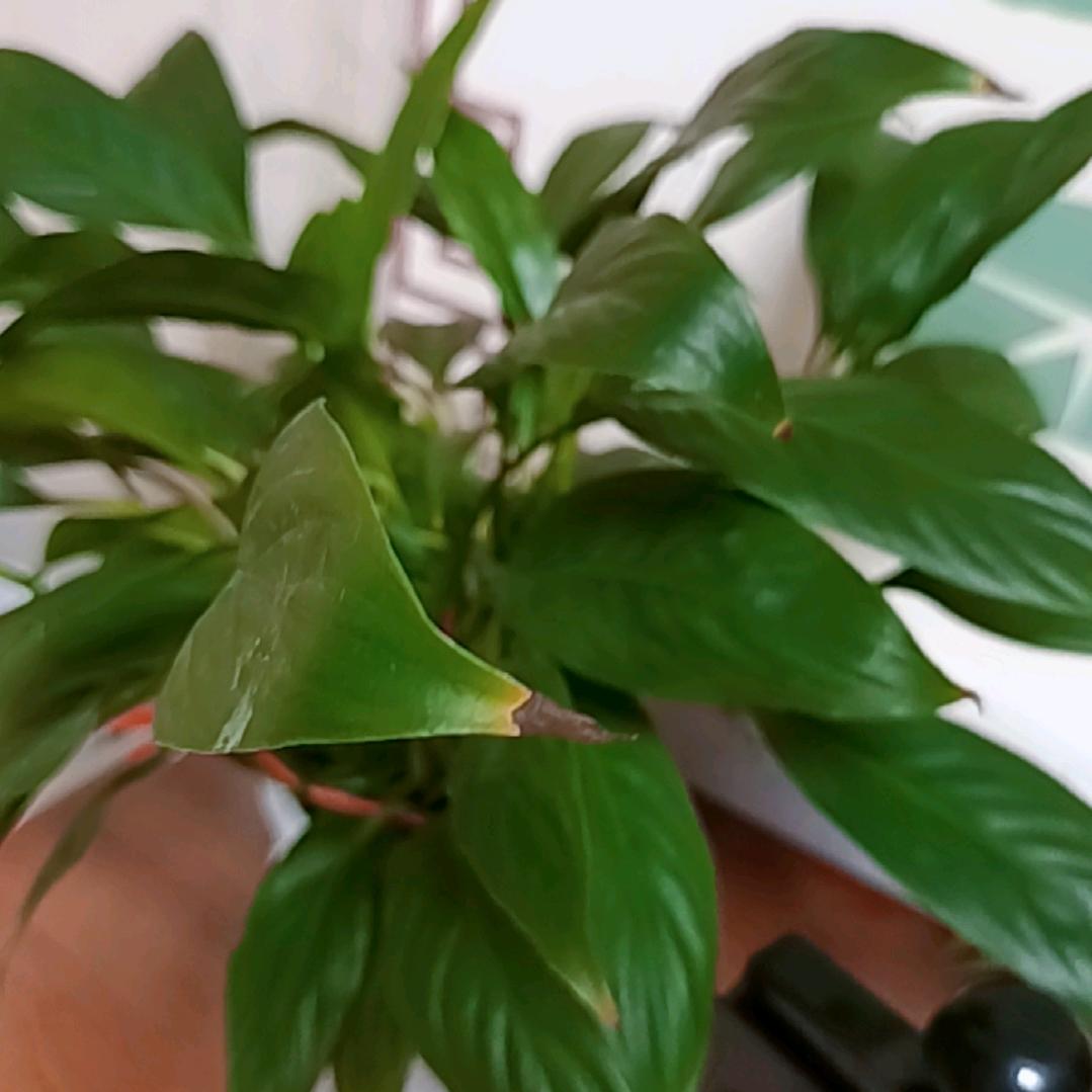 邻里@@@