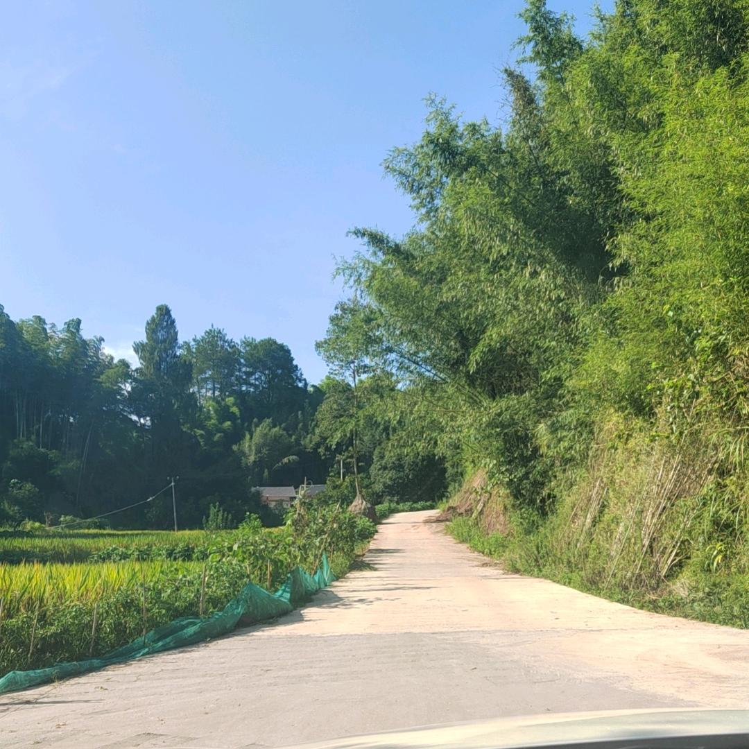 重庆网约车高