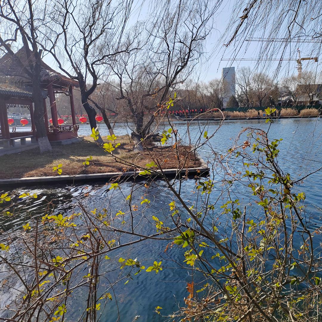 农村旭哥