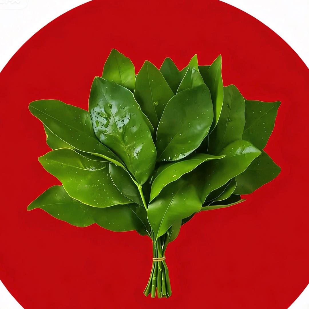 幸荟东方(嘉哥)