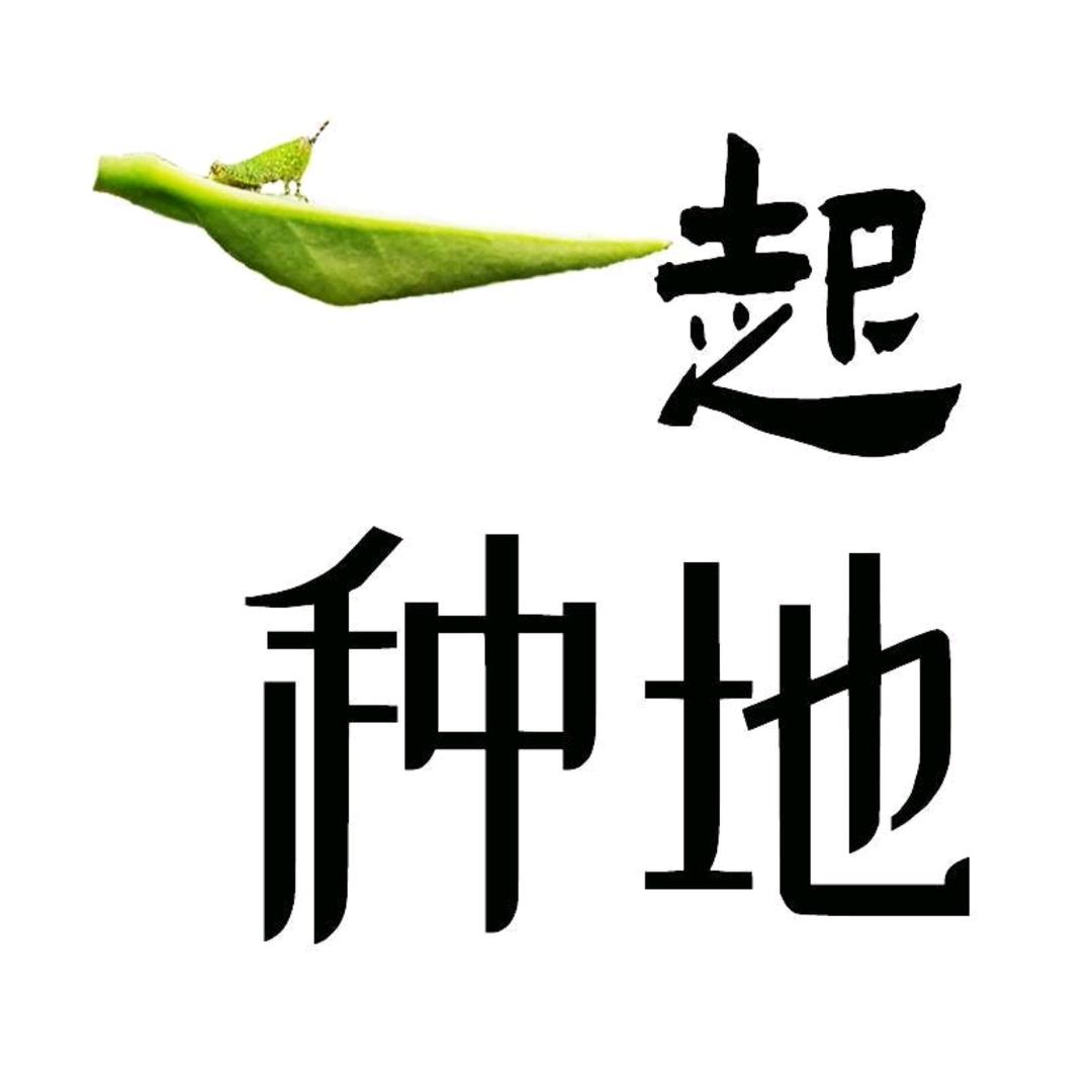 一起种地