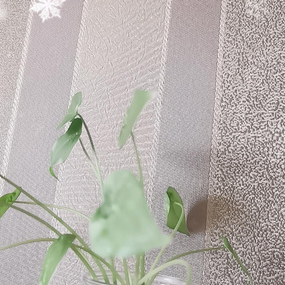 用户9191029963495