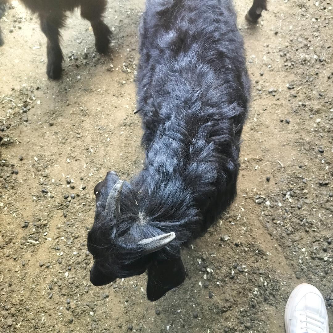 用户6905869604009闫亮亮