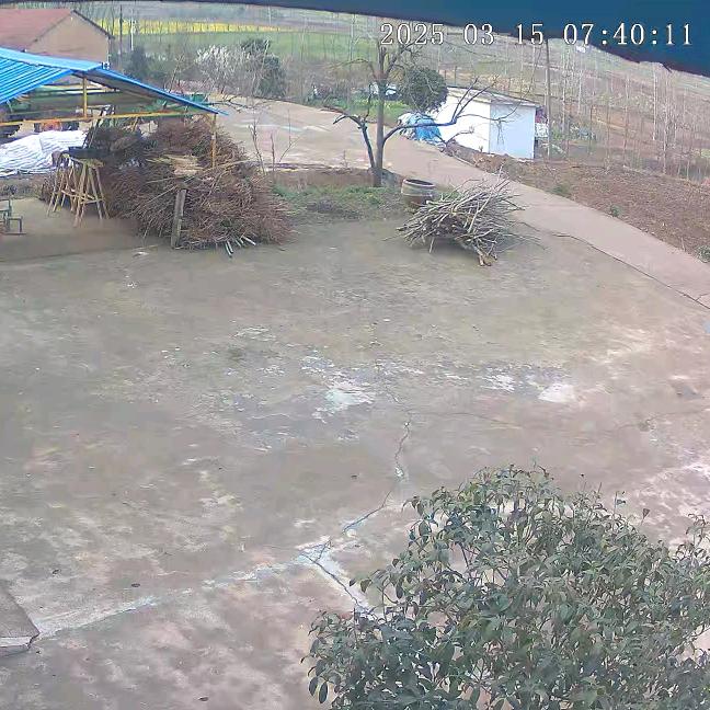 夕阳红、每天下午6点10分开播