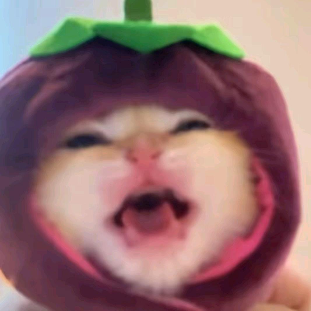 天好冷