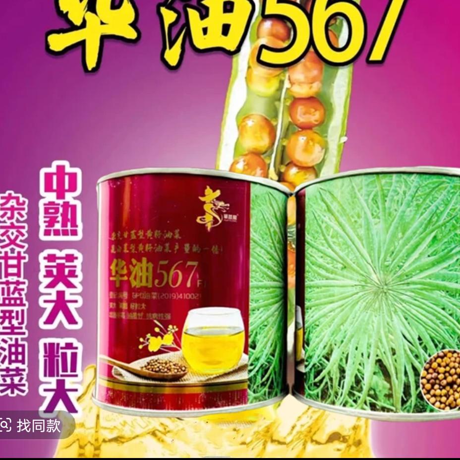 诚信为本