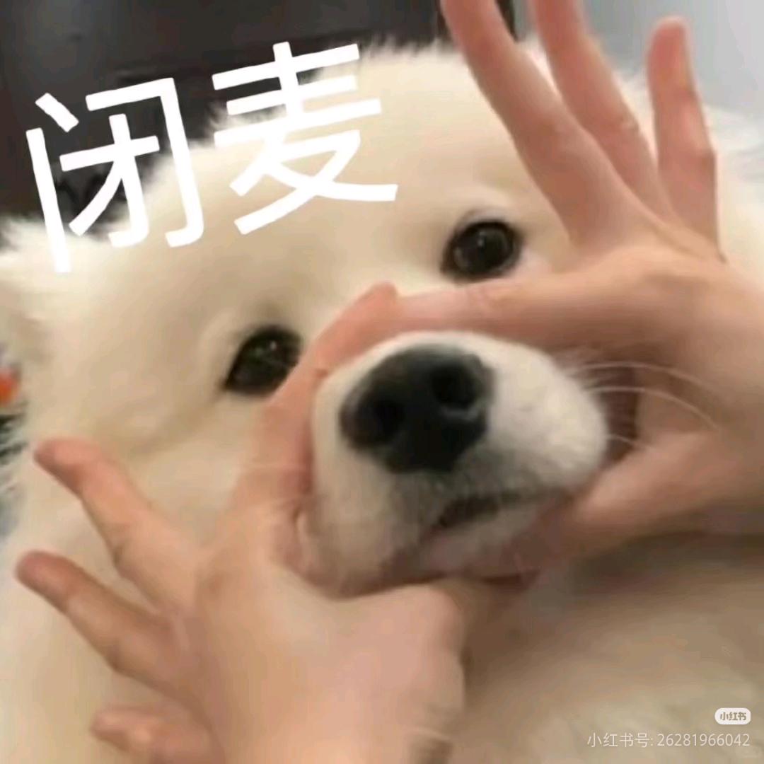 📷鸽鸽鹿🕊️(闭关中)