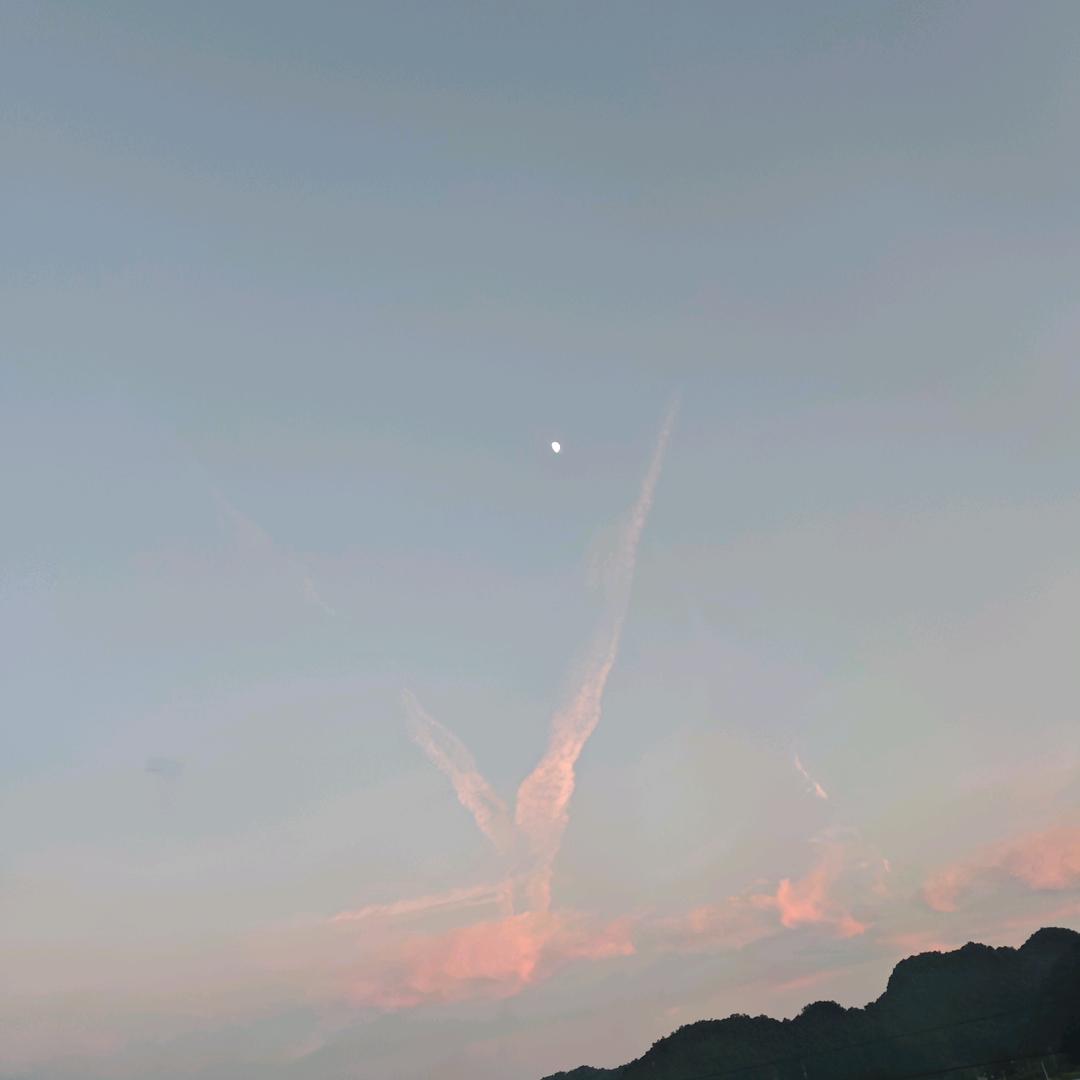 齐齐（首播8：30）