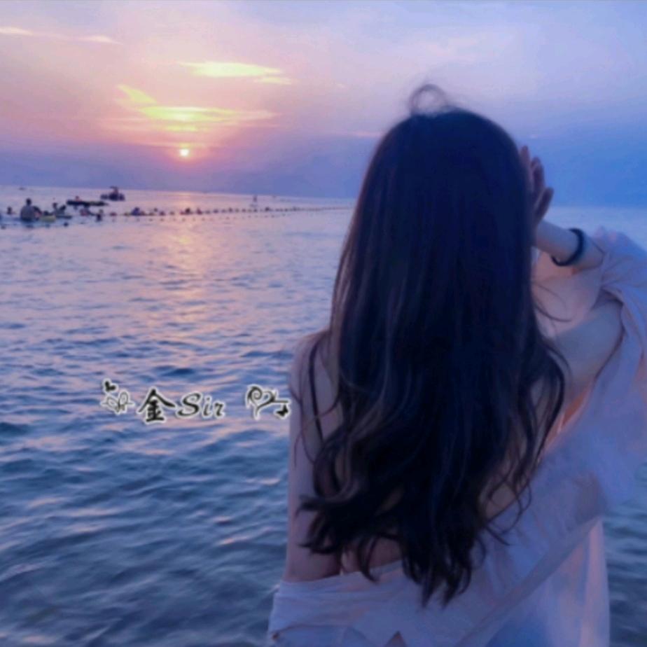 金sir