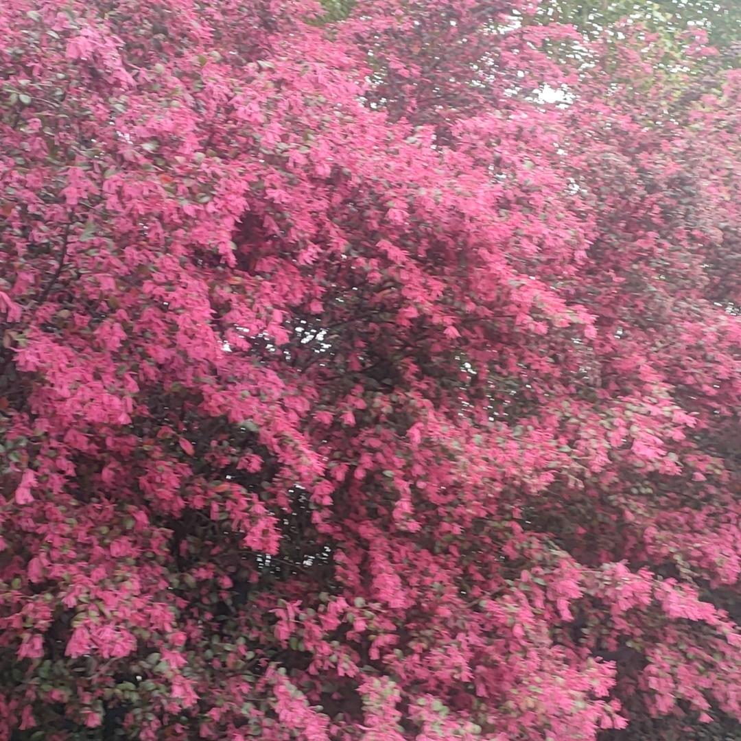 每好的一天开始