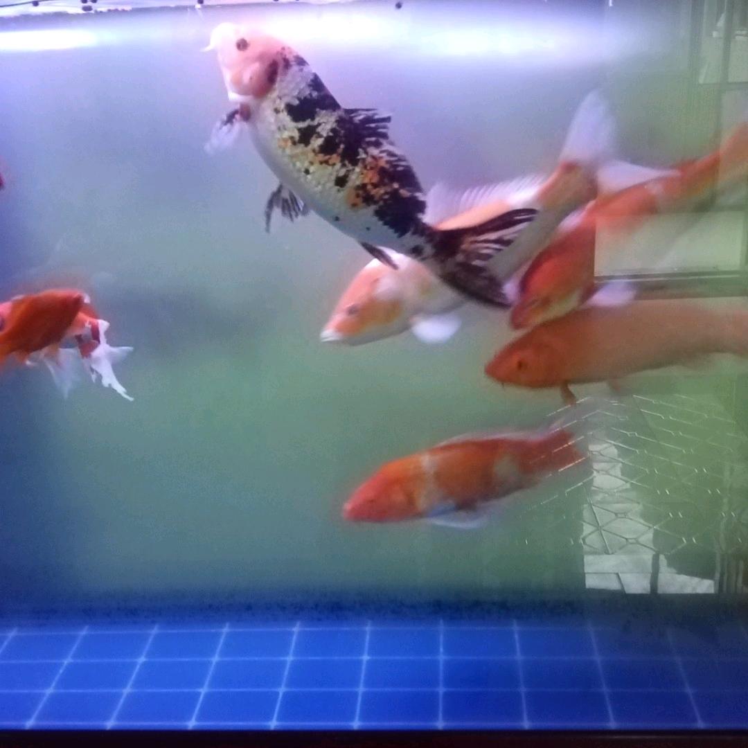 修心