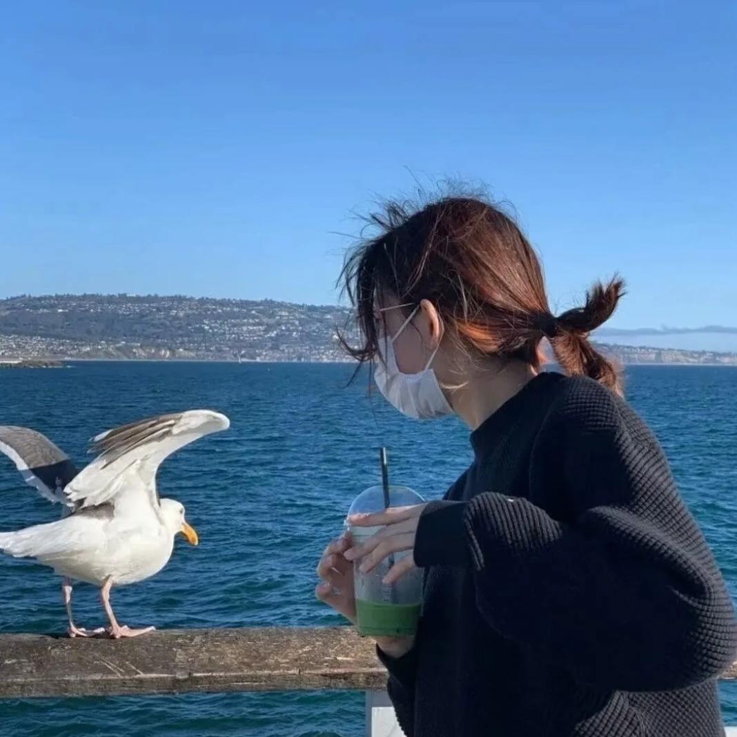 木梣