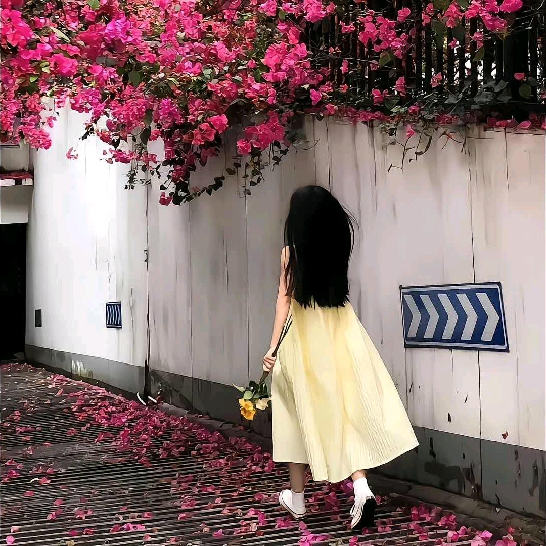西红柿不炒蛋