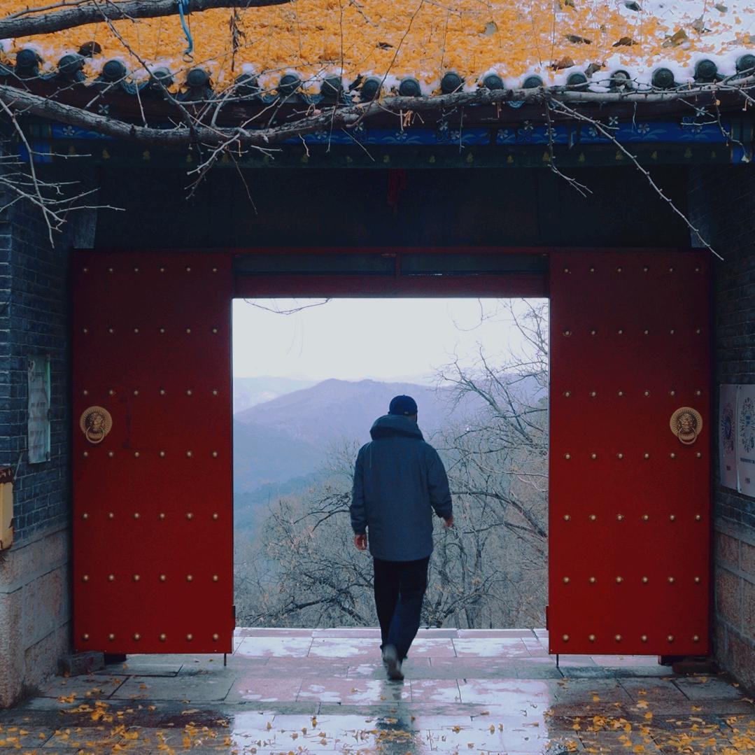 大鱼之星