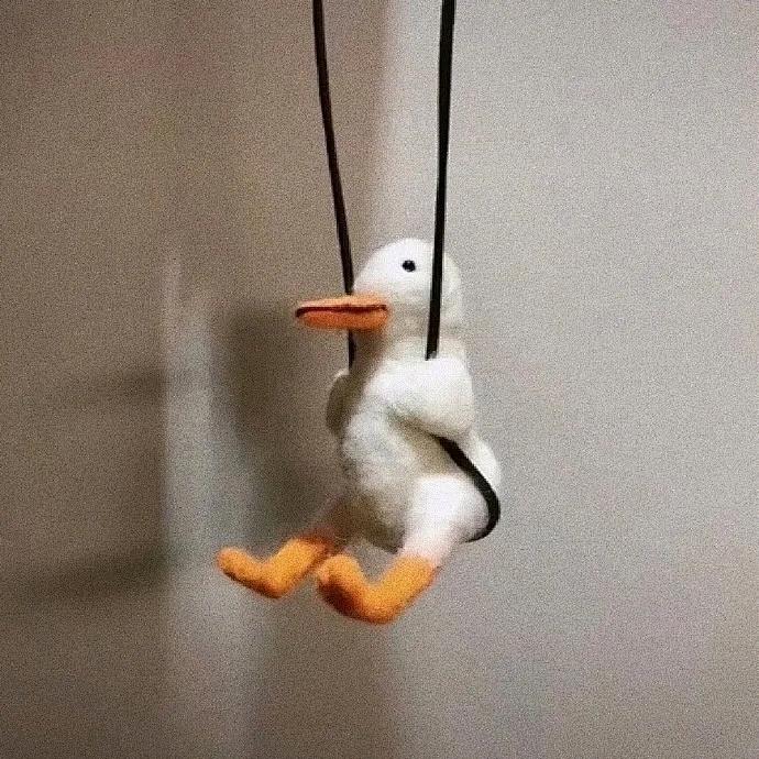 cfmdiek9