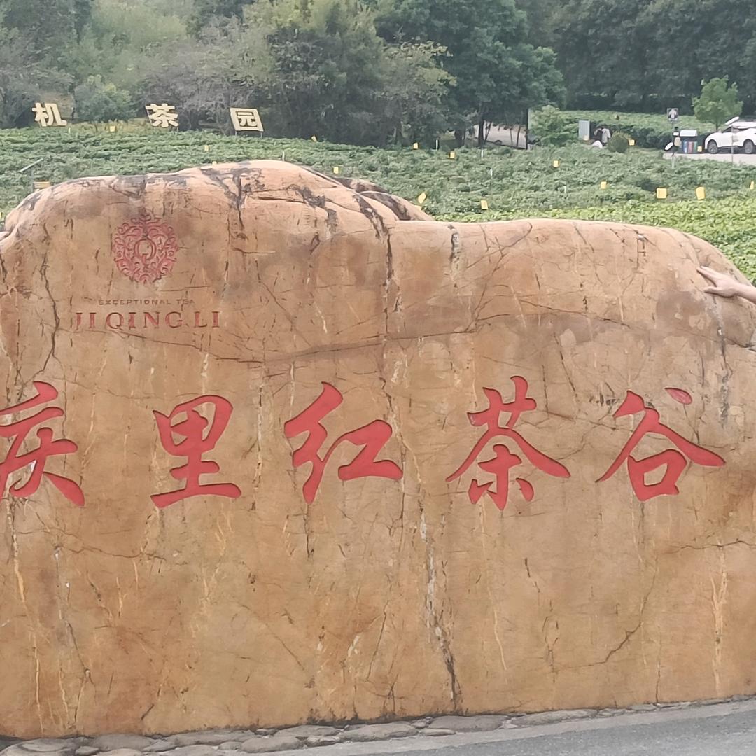 彬彬