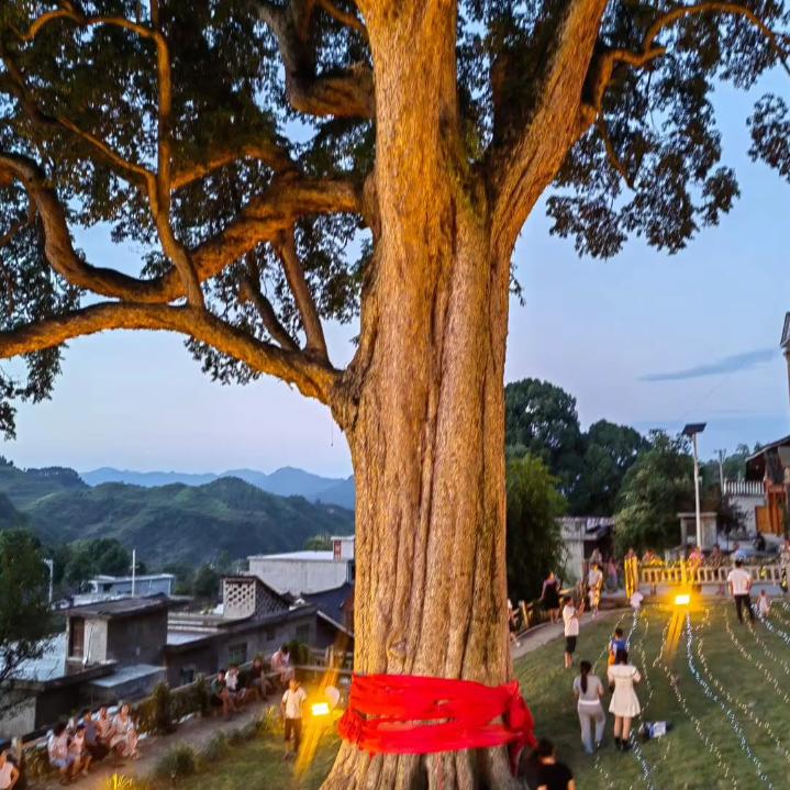 平安是福，自爱人身16栋