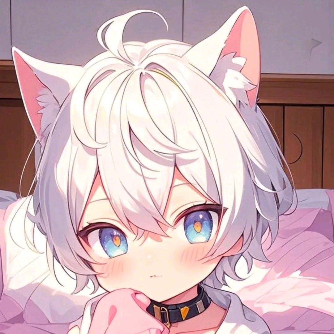 晓木
