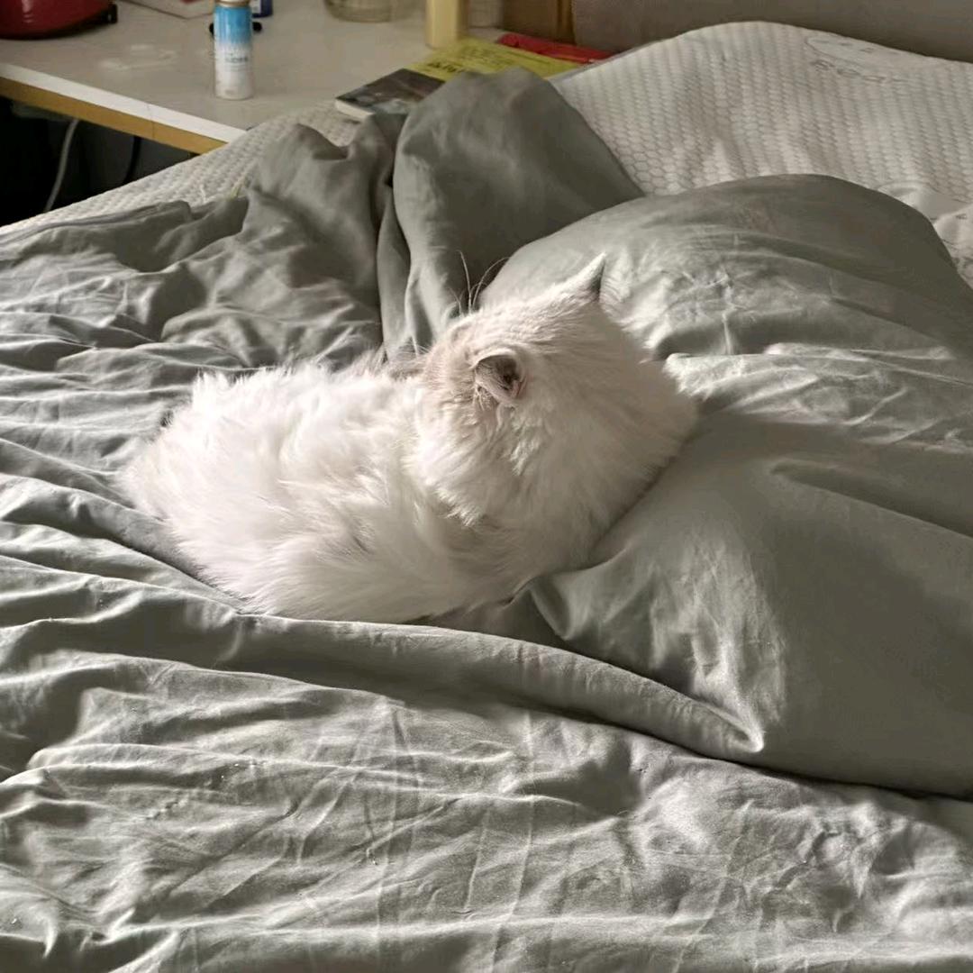 对世界充满热爱