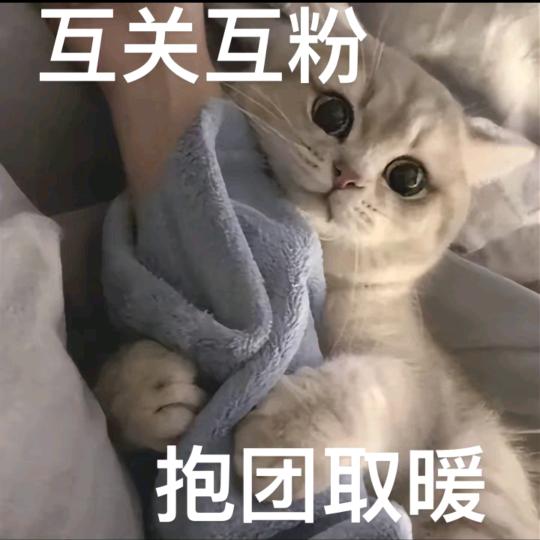 二霜（互赞互关）