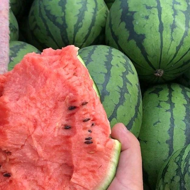 产地果蔬优选（木木）