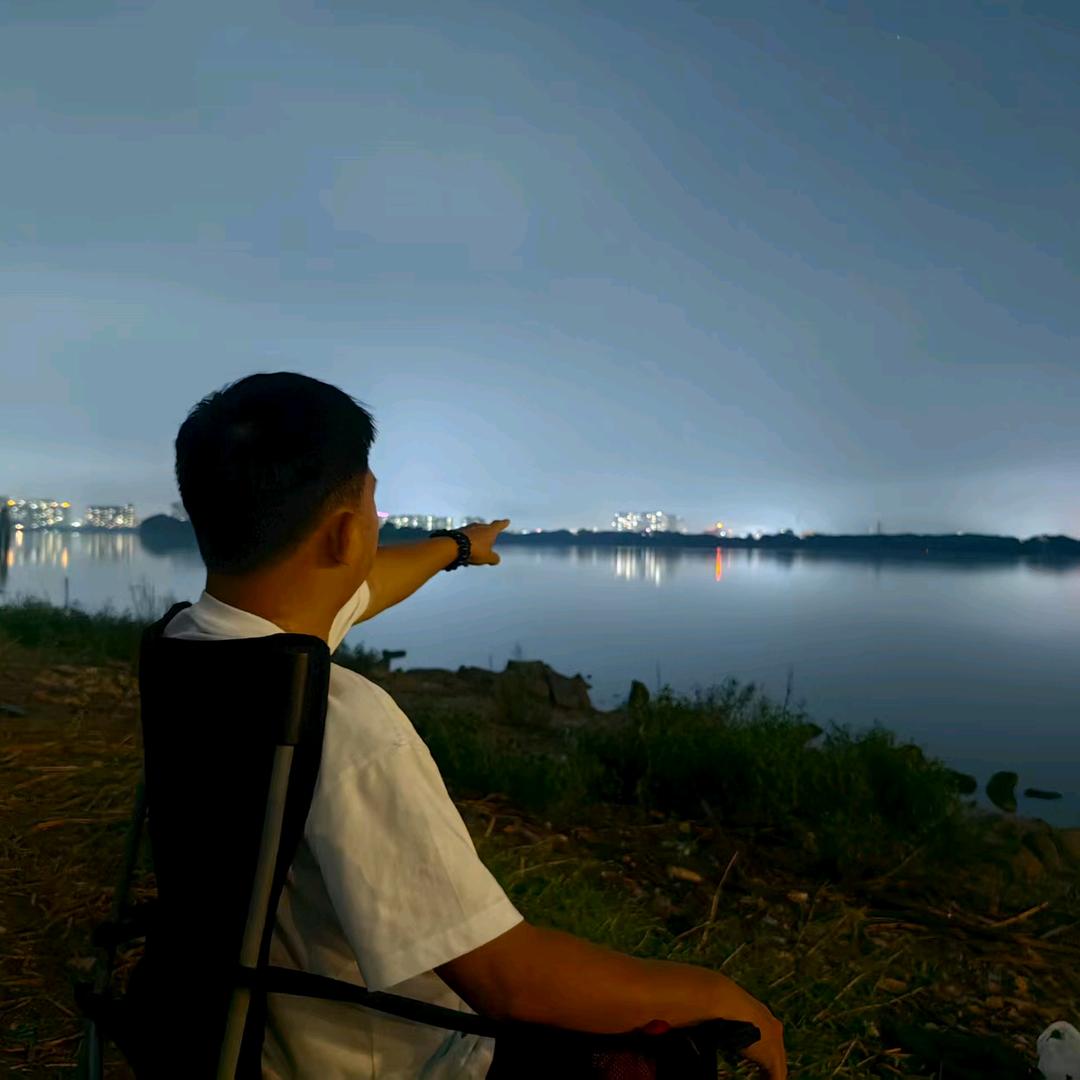 森林战狼