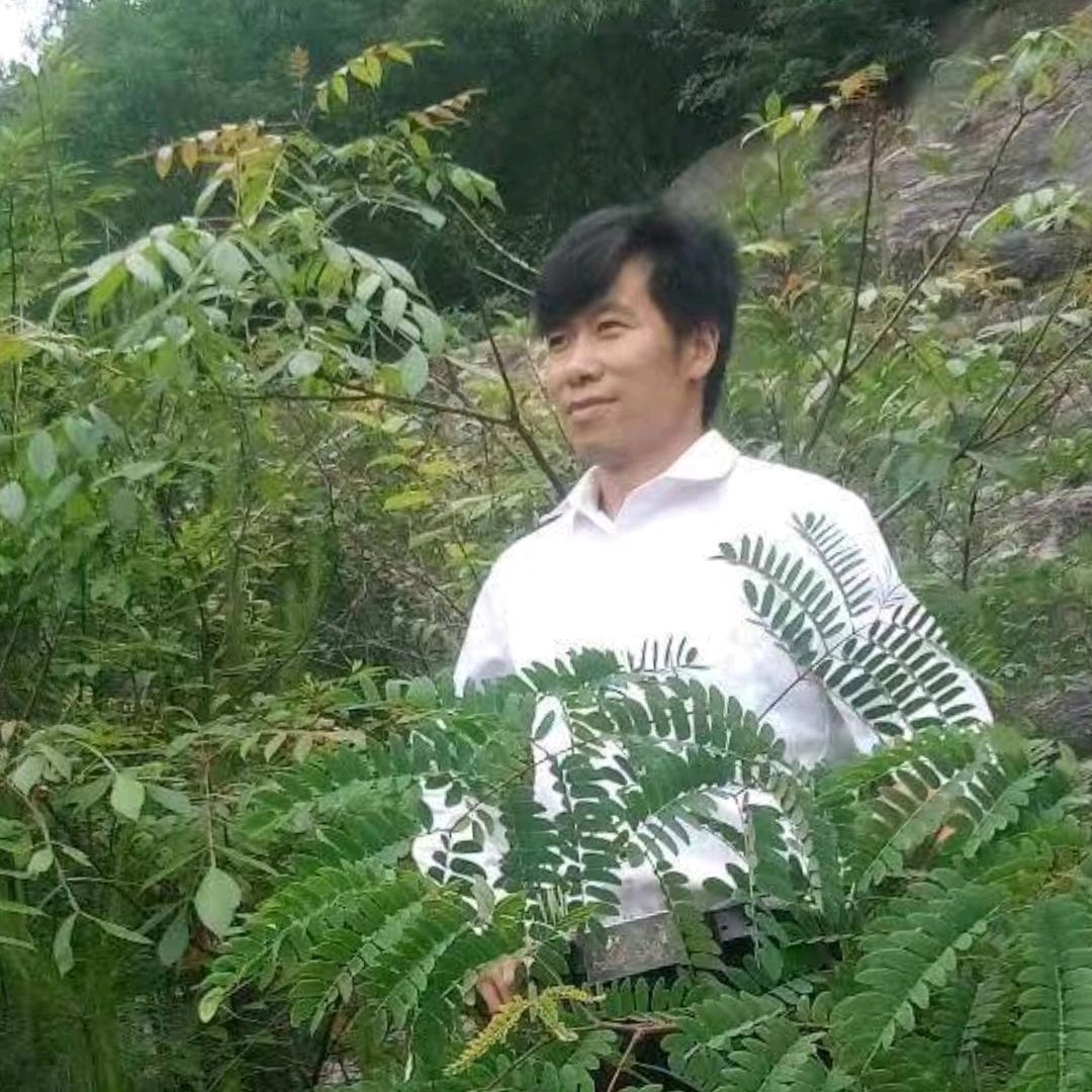 龙海2(早上8点大号开播)