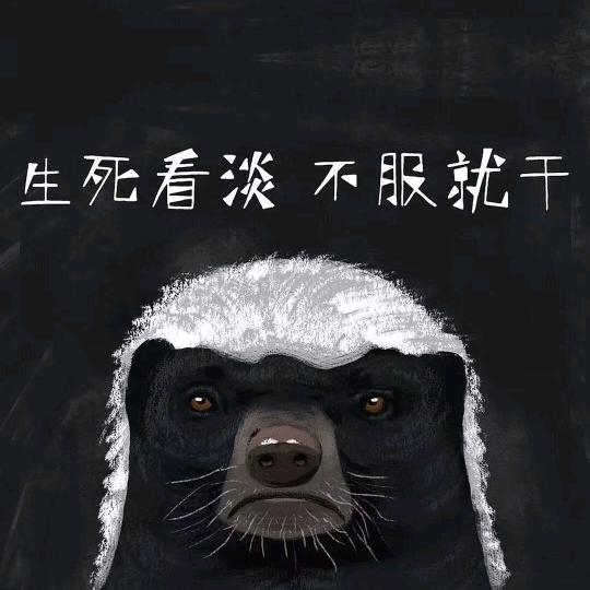 平头哥