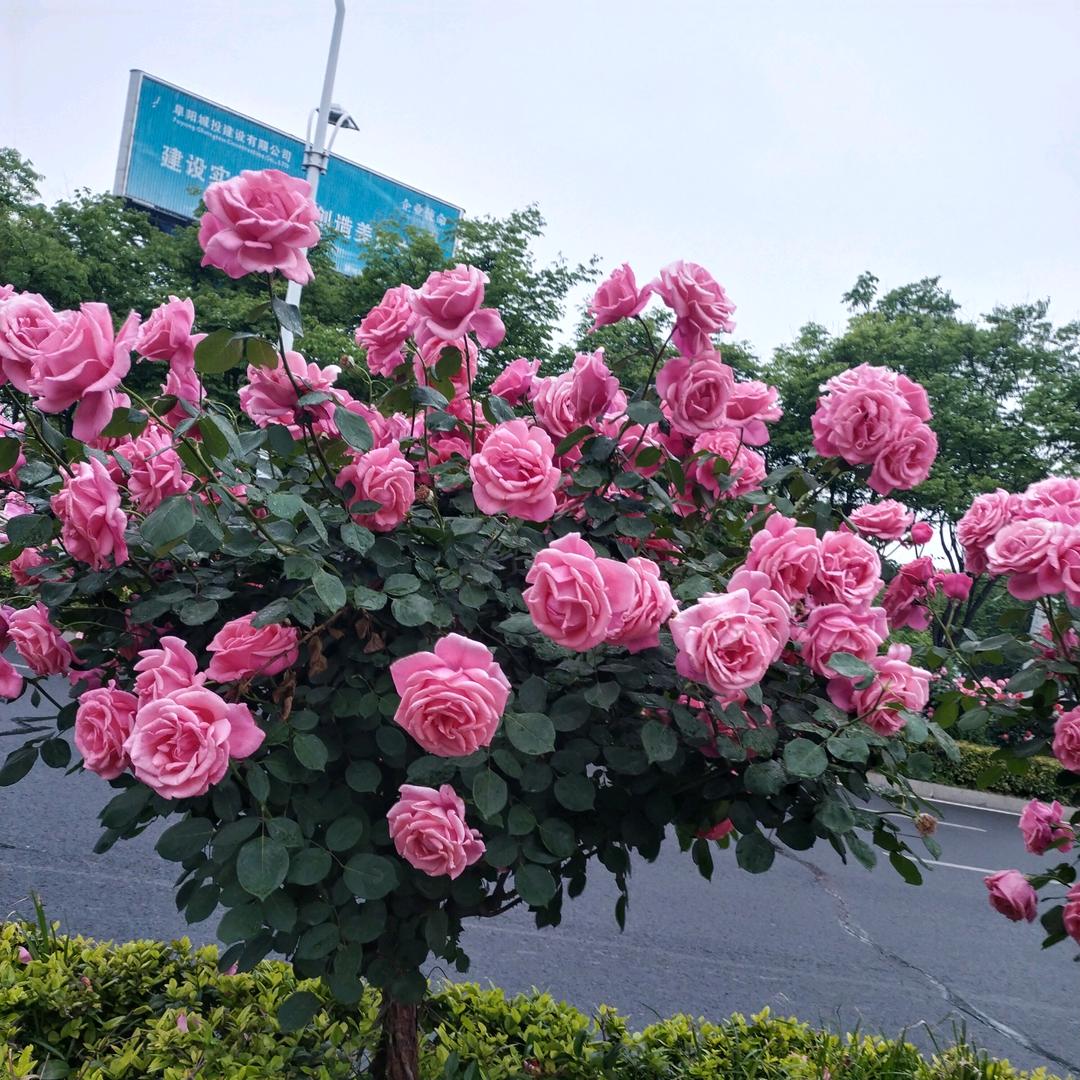 老李再生资源高价回收