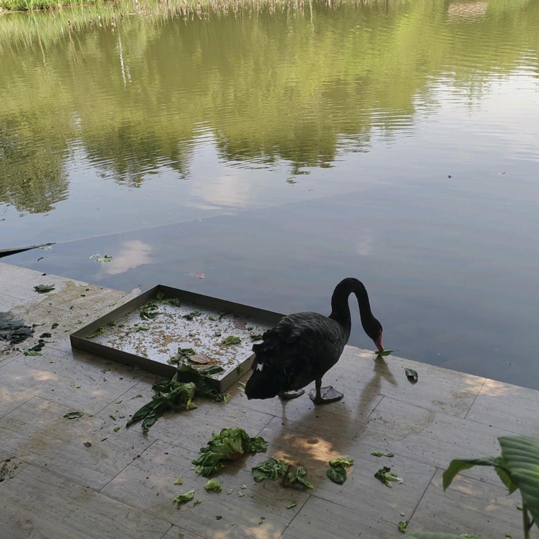 人间清醒