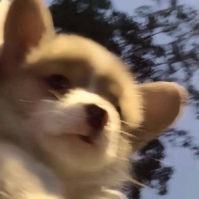筱梦