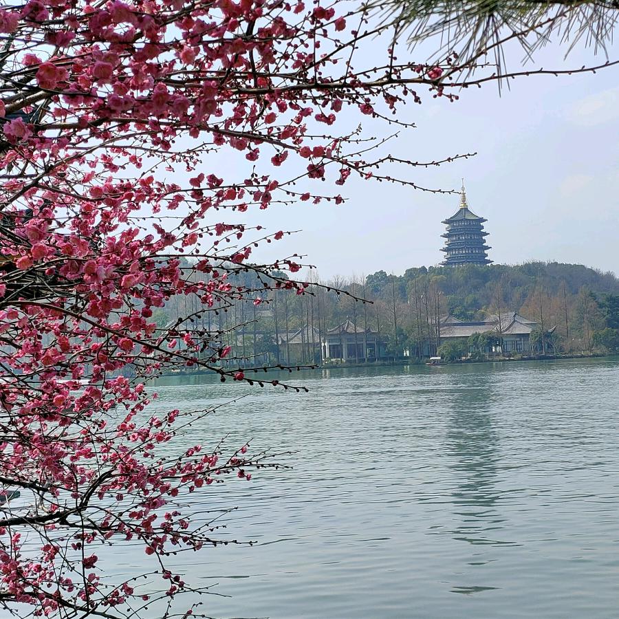 如果没有如果
