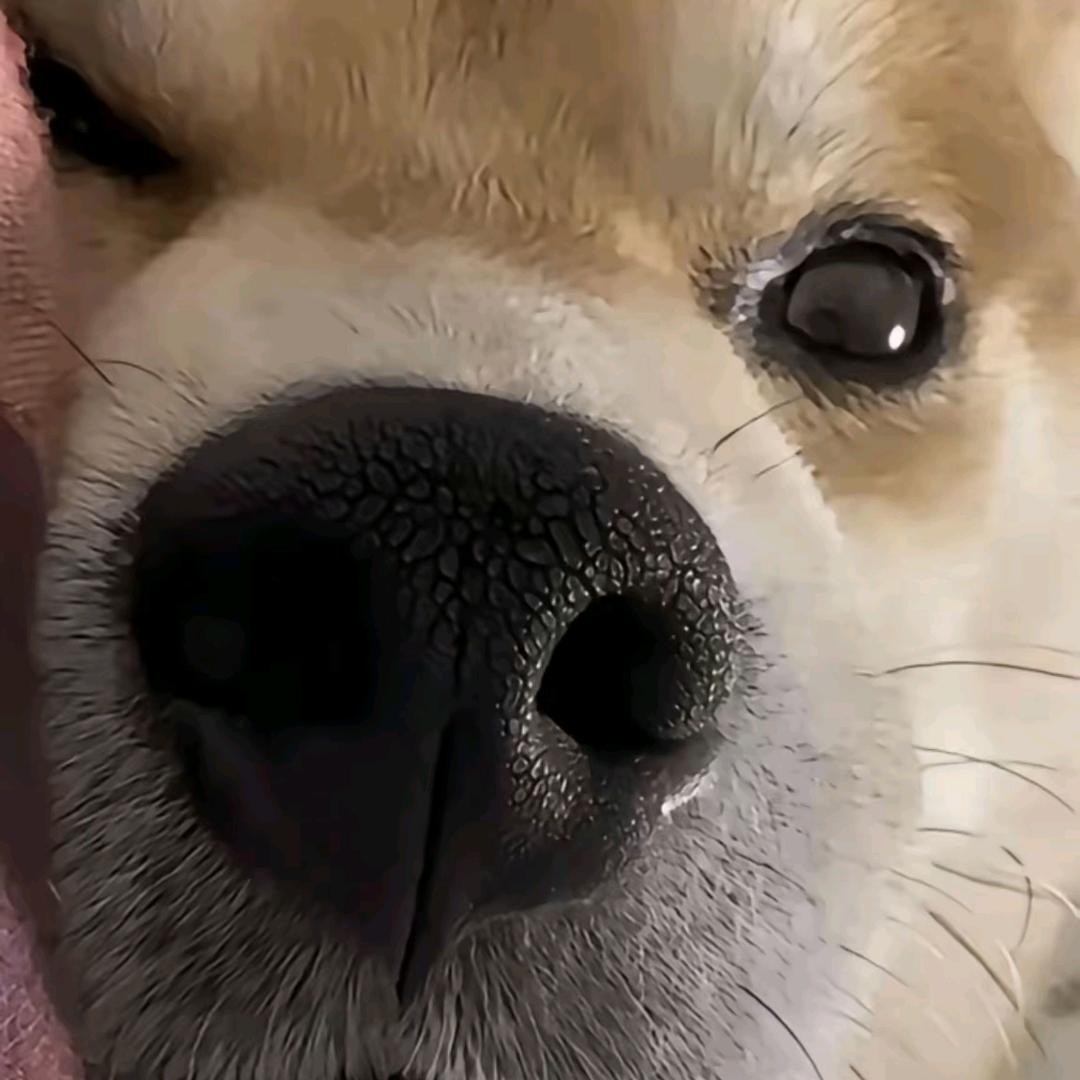 小平