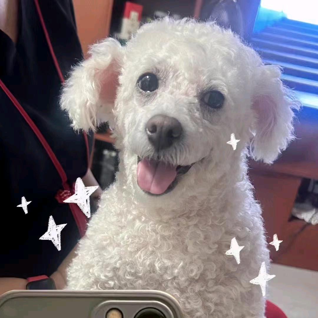 钰儿