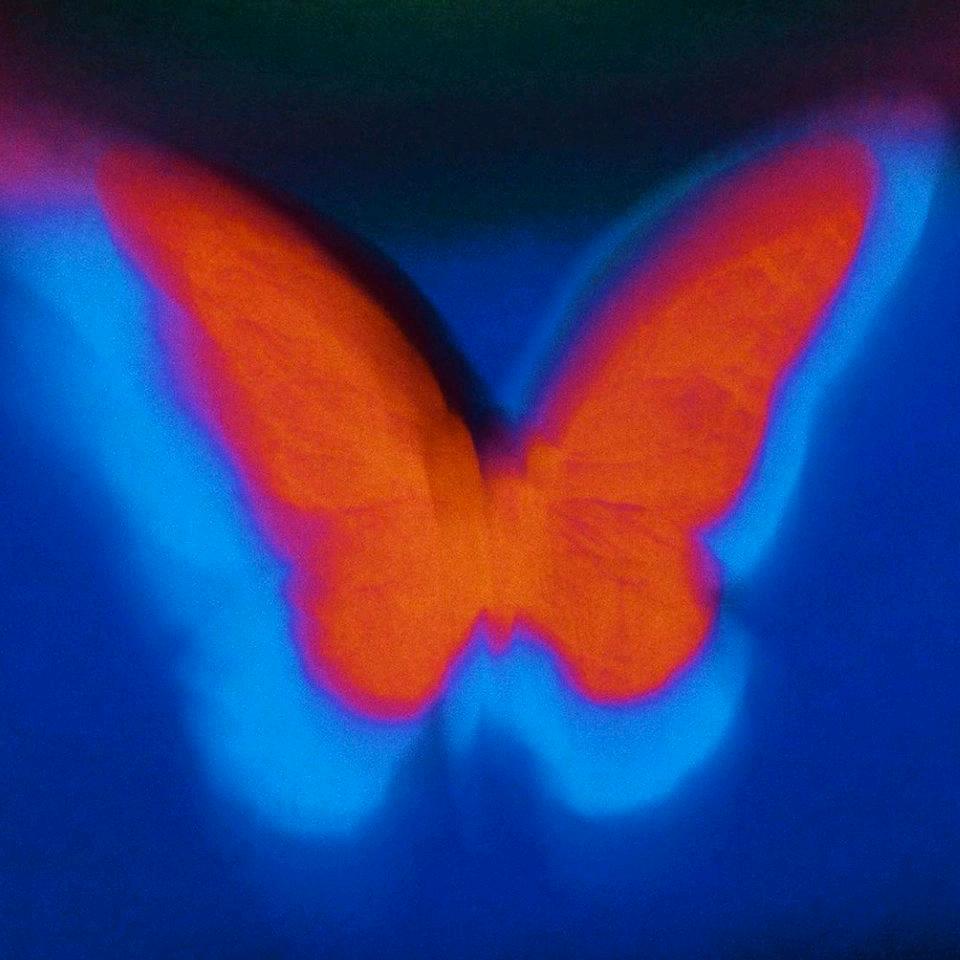 不听不听狗念经