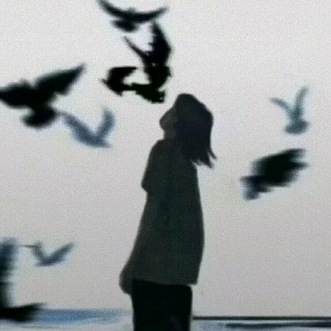 水墨清欢