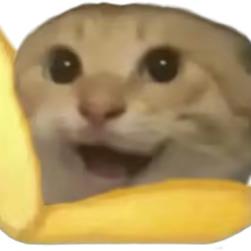 吕子乔