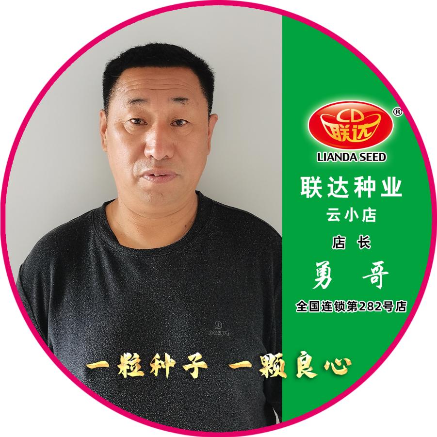 联达种业云小店-勇哥