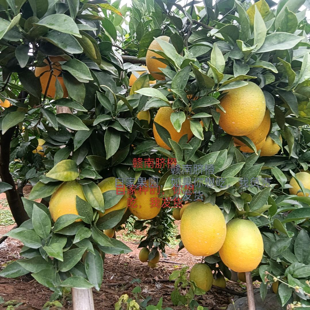 缘分今生