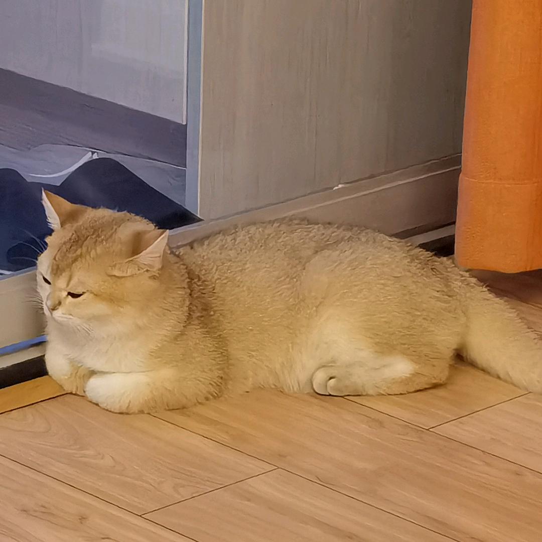 小奶包吖