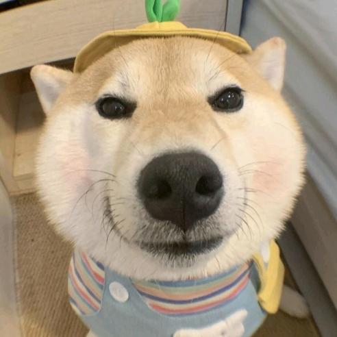 江苏彭于晏